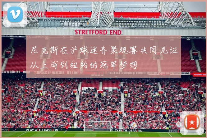 尼克斯在沪球迷齐聚观赛共同见证从上海到纽约的冠军梦想